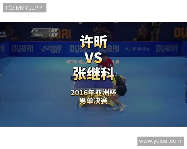 2015年乒乓球赛许昕对决张宇镇精彩瞬间回顾与分析